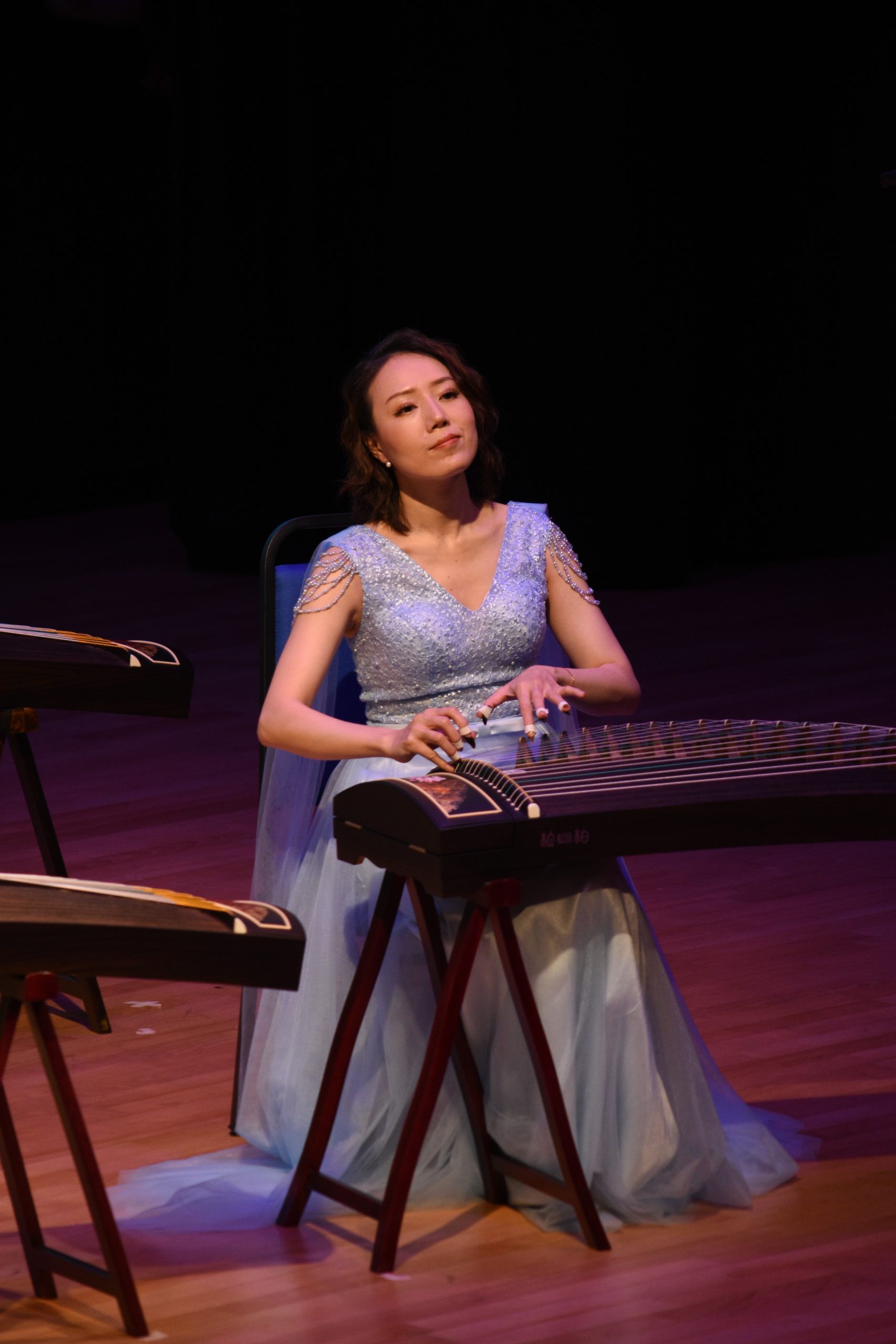 Malaysia - China Cultural Art Exchange Chinese Instrumental Concert2